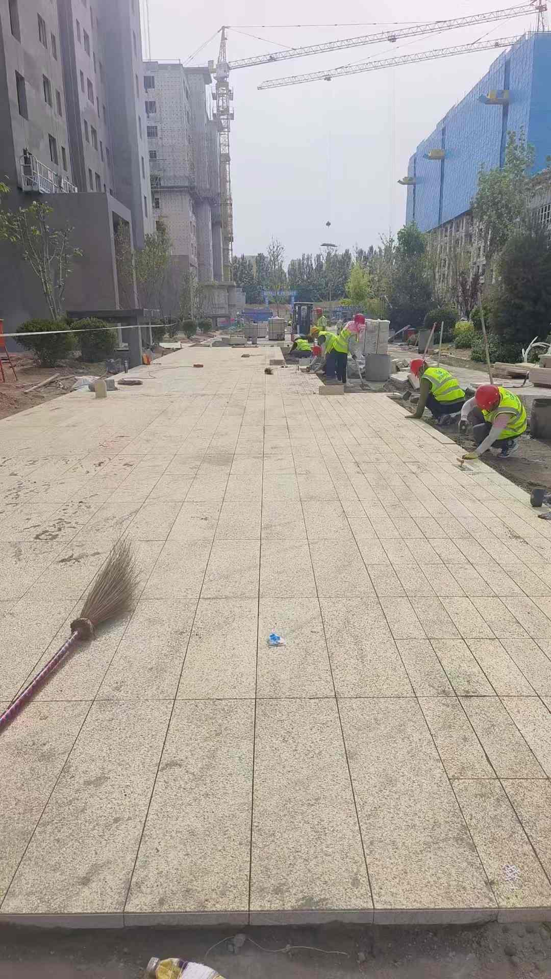 绥化黄金麻荔枝面地铺案例