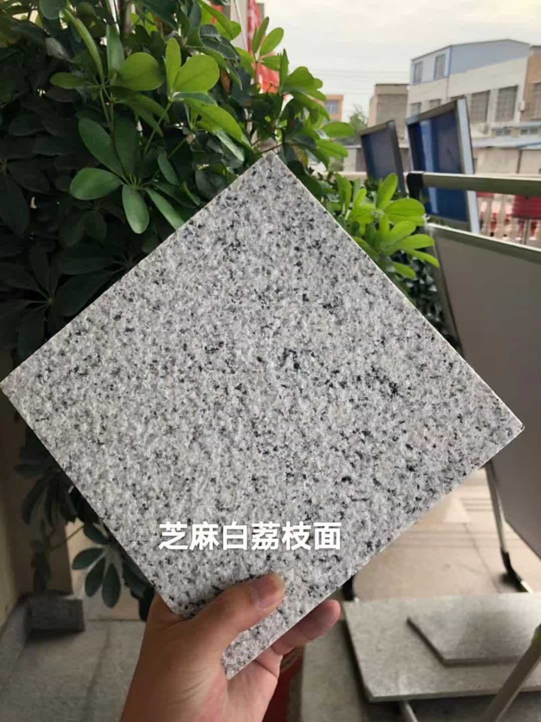绥化 芝麻白荔枝面干挂