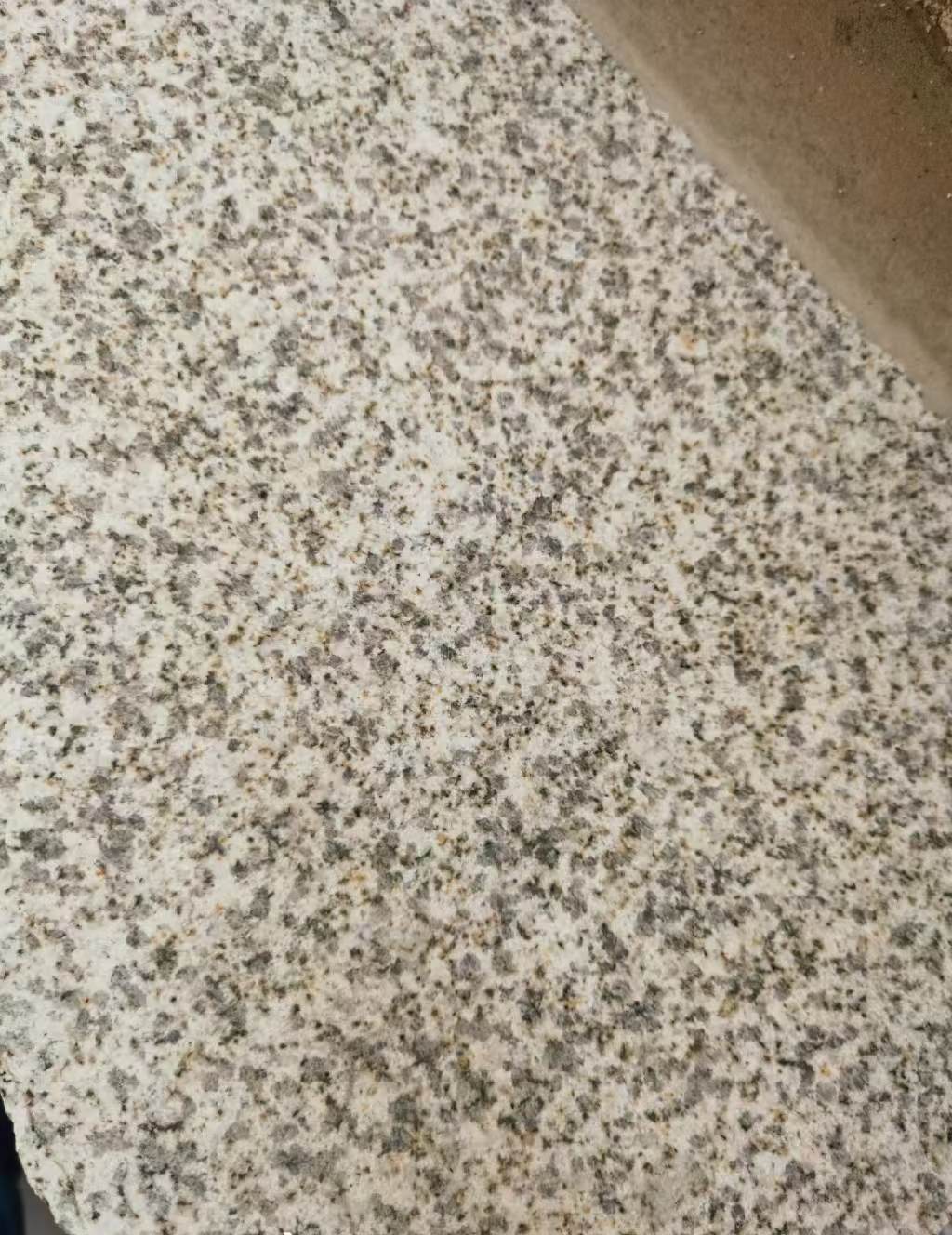 绥化 黄金麻中黄光面